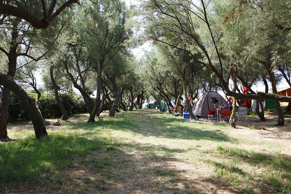 CAMPING TRIPESCE